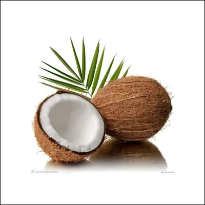 La noix de coco est le fruit le moins apprécié du monde.