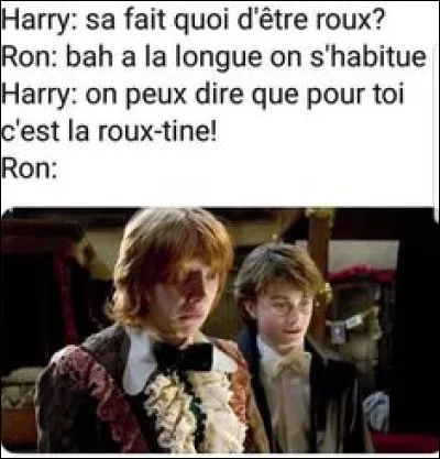 Bon, tu rentres de cours, que fais-tu ?