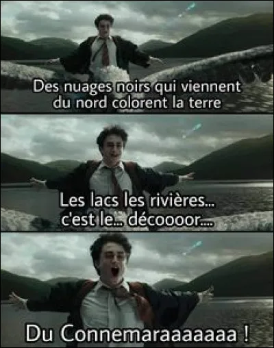 Finalement, ta m&egrave;re t'a cri&eacute; dessus, car tu n'as pas tir&eacute; la chasse d'eau ET le frigo...