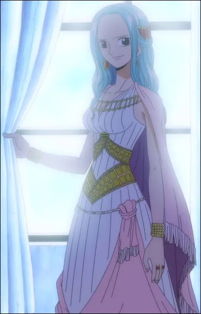 Quel est le nom de la princesse du royaume d'Alabasta ?