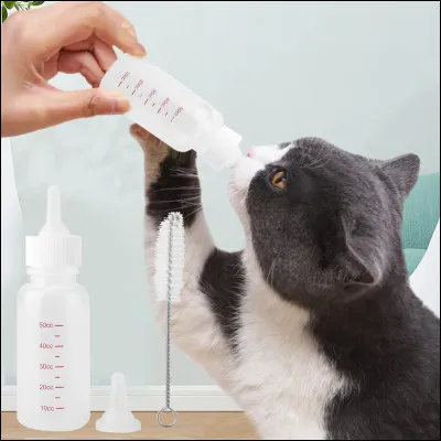 Quelle photo de chat, parmi elles, aimes-tu le plus ?