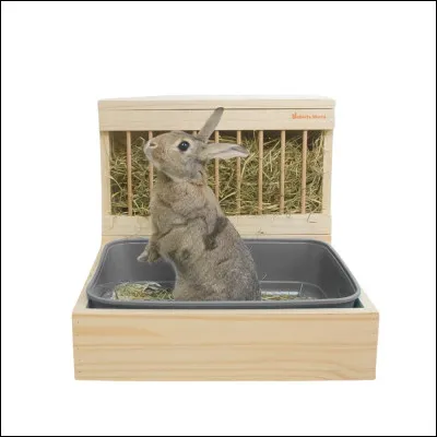 Quel lapin aimes-tu le plus ?