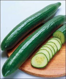 Le concombre est un. .