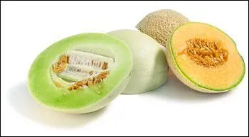 Le melon est un. .