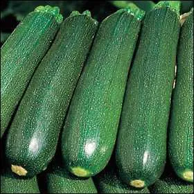 La courgette est un. .