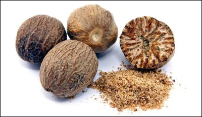 Le renard a un museau que le chaton Rusty (Étoile de feu ensuite), trouve affreux lorsqu'il en voit un pour la première fois ! 
Quelle chatte est sa mère ?