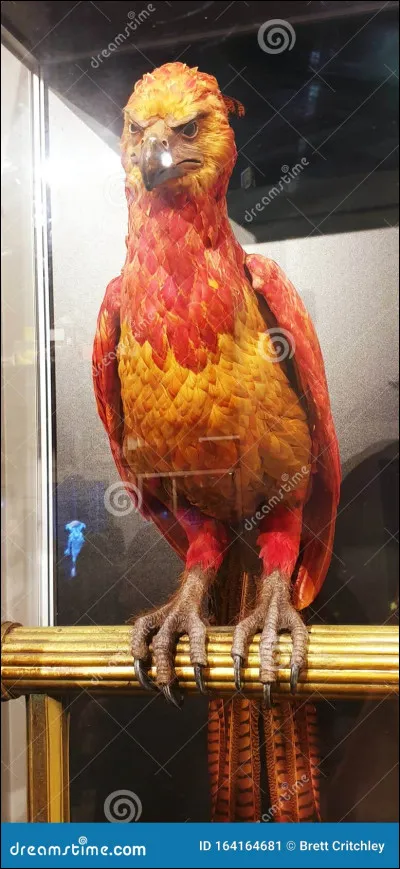 Et celle-là, qu'est-ce que c'est ?