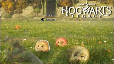 Quelle est cette créature ?