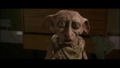 Dobby est un :
