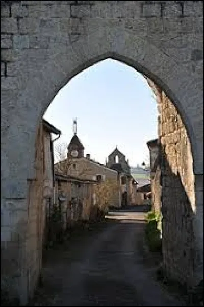 Village occitan, Saint-Arailles se situe dans le département ...