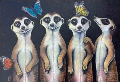 Les suricates habitent en Australie.