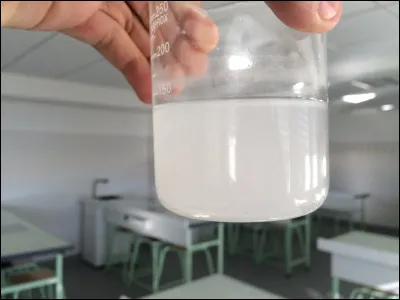 La photo ci-contre montre bien une eau de chaux troublée, cela veut dire qu'elle contient...