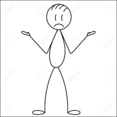 Quel est ton principal défaut ? (Suite)