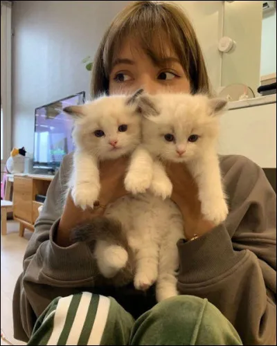 Qui est sur cette photo ?