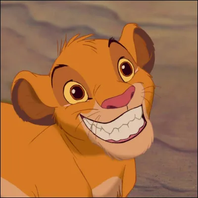 Si tu veux demander quelque chose à quelquun, comment fais-tu ?