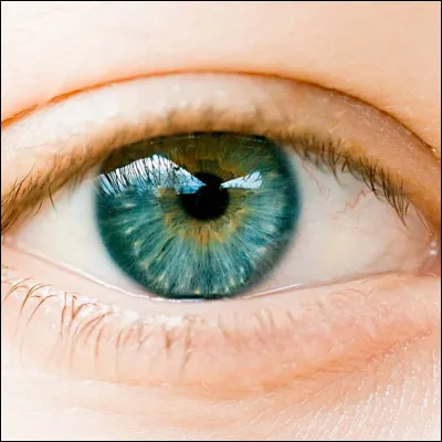 Tes yeux sont : (partie 2)