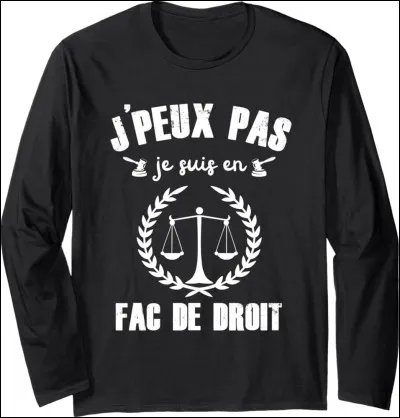 Une "fac de droit" est, dans l'esprit collectif, de...