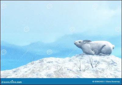 Combien de bébés les lièvres arctiques ont-ils ?