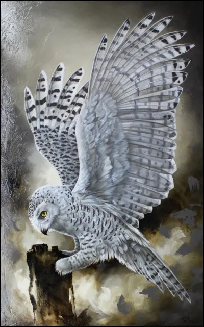 Quelle est la durée de vie d'un harfang des neiges ?