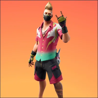 Quel est ce skin ?