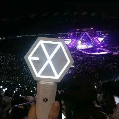 On continue toujours facile ! Donne juste le nom du groupe auquel ce lightstick appartient :