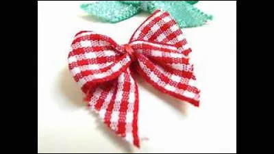 Souvent délaissé par les pas ou le point, il est aussi lâché pour un rien. De quoi parle-t-on ?