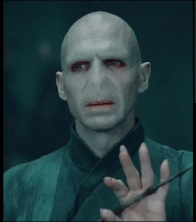 Quel bois de baguette préfères-tu ?