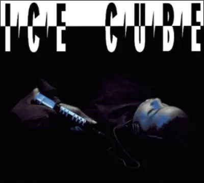 Parmi ces célèbres rappeurs américains, où se trouve celui connu sous le nom de "Ice Cube" ?