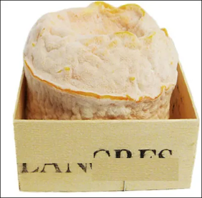 Quelle commune n'est pas située dans le département de la Marne ?