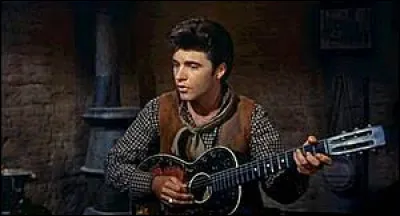 Ricky Nelson joue le rôle de Colorado Ryan, un jeune homme qui escorte un convoi de chariots. 
Quelle profession exerçait Ricky Nelson en parallèle de celle dacteur ?