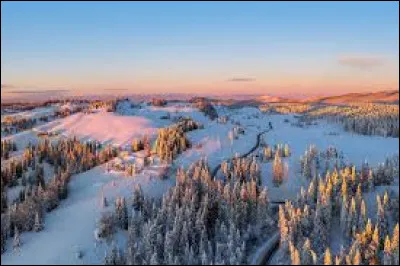 Comment les adeptes de Voldemort sont-ils appelés dans "Harry Potter" ?