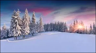 Quel compositeur classique est connu pour ses quatre concertos consacrés aux quatre saisons de l'année ?