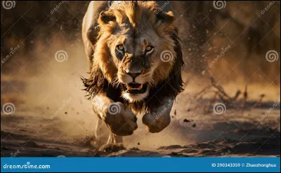 Quelle est sa vitesse maximale sur courte distance ?