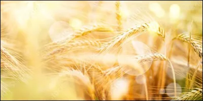 Qui chante "Ce sont les enfants du printemps
Le blé en herbe, le blé en herbe
Ils sont comme tous les enfants
Du bout du monde, au bout du monde
Tête folle et coeur impatient
Chaque seconde, chaque seconde..." ?