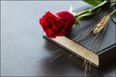 A qui doit-on le roman "Le Blé en herbe", publié en 1923 ?