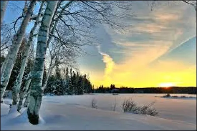 Le piano est un instrument à cordes !