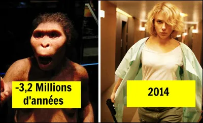 L'australopithèque Lucy, découverte le 24 novembre 1974 en Ethiopie, porte ce surnom en référence à une chanson des Rolling Stones !