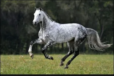 Cette photo est-elle belle ?