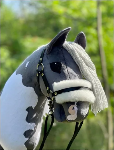 Le hobby horse te parle-t-il ?