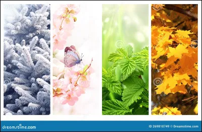 Quel est ta saison ?