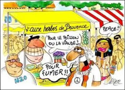 De ces trois plantes aromatiques, laquelle est la marjolaine ?