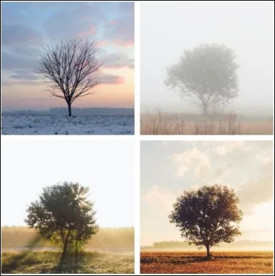 Et pour finir ta saison préférer ?