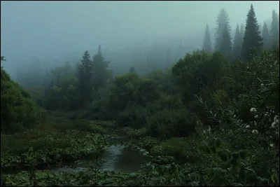 Le temps que tu préfère