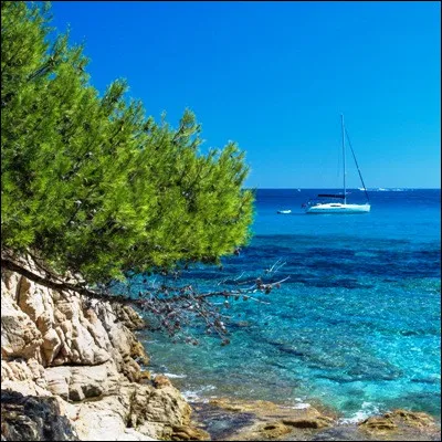 Quel poisson, riche en om&eacute;ga-3, a vu sa biomasse m&eacute;diterran&eacute;enne &ecirc;tre divis&eacute;e par trois entre 2006 et 2016 ?