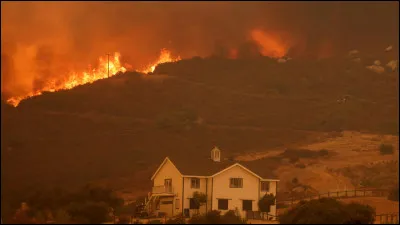 Ensuite, un incendie se déclare dans toute la forêt, qui sauves-tu en priorité ?