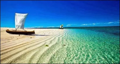 L'île de Madagascar, dans l'océan Indien, fait face au Mozambique.