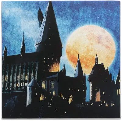 Mon premier est la 16e lettre de l'alphabet.
Mon second est le verbe "tuer" à la première personne du singulier.
Mon troisième est l'endroit où les oisillons naissent.
Mon dernier est une voyelle.