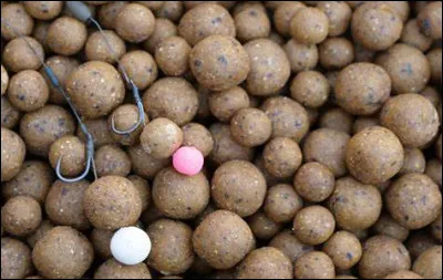 Quel est le nom donn&eacute; &agrave; l'app&acirc;t roul&eacute; en boule pour p&ecirc;cher la carpe ?