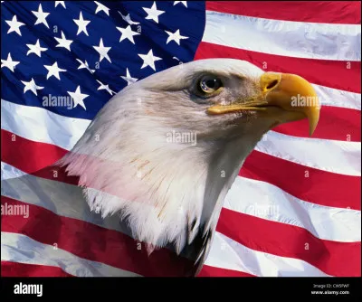 Quel sport est considéré comme le passe-temps des Américains ?