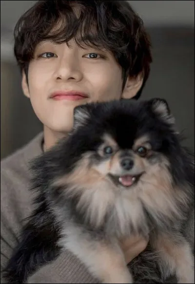 Combien de chirurgies a-t-il subies ?